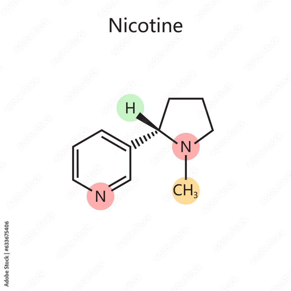Chemical organic formula of nicotine diagram schematic vector illustration. Medical science educational illustration Chemical organic formula of nicotine diagram schematic vector illustration. Medical science educational illustration