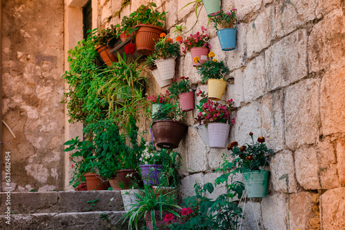 Flowers in pots suspended from an antique stone wall