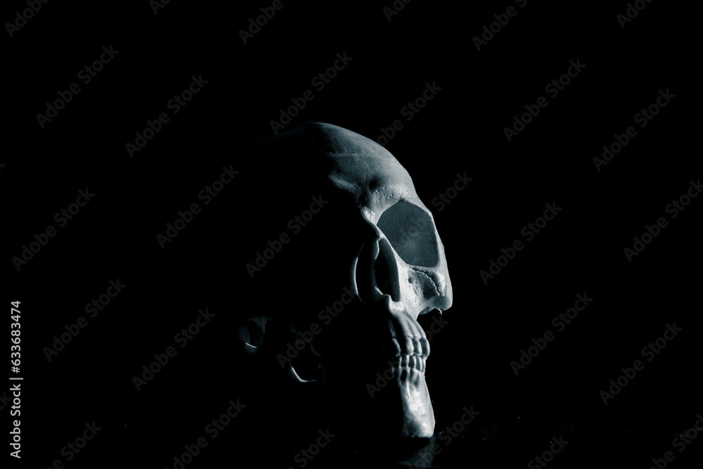 scary human skull horror Halloween