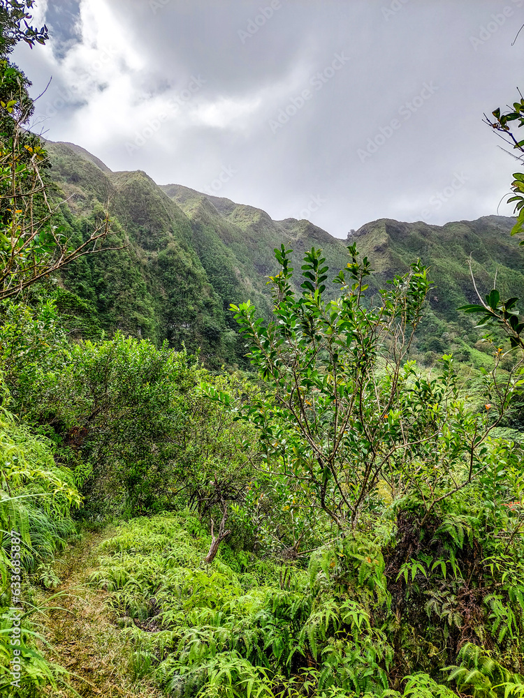 Maunawili Trail on the Hawaiian island of Oahu