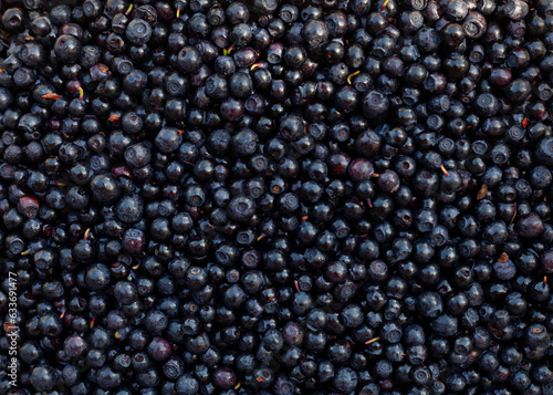 Blueberries texture photo