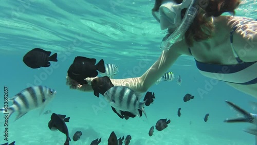 Underwater lagoon fish feeding, Zanzibar, Indian Ocean. Girl feeding fish underwater. photo