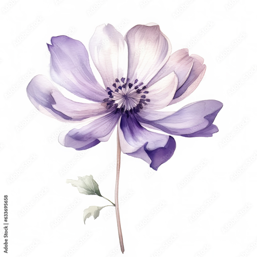 Single Painted Flowers on White Background Single Painted Flowers on White Background