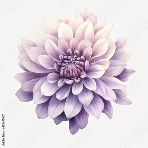 Single Painted Flowers on White Background © bilge