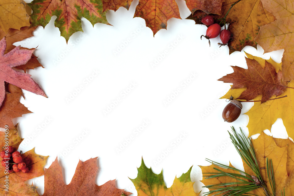 autumn background with colored leaves on white board