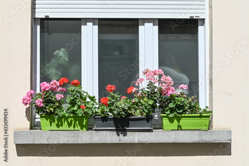 maison logement immobilier fenetre fleur bac decoration environnement été climat © JeanLuc
