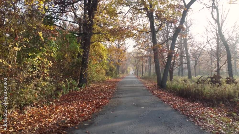pov aerial shot at road level moving down the road with plenty leafs on the ground during autumn season pov aerial shot at road level moving down the road with plenty leafs on the ground during autumn season