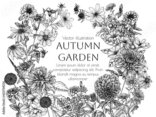 Vector illustration autumn flowers. Dahlia, cosmos, zinnia, marigold, calendula, rudbeckia, gladiolus, datura, eryngium, allium, chrysanthemum in engraving style