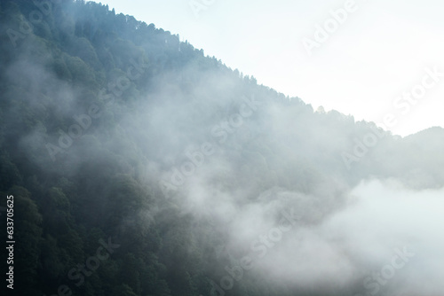 Fotografija clouds cover the mountains and part of the trees, black pines