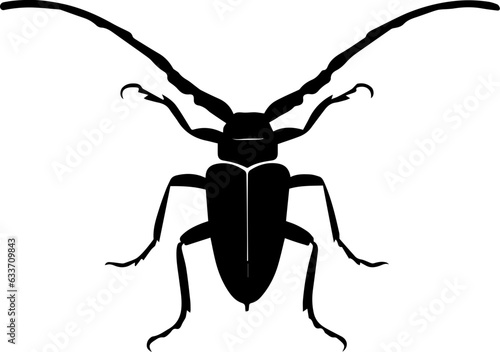 Asian Longhorn Beetle icon