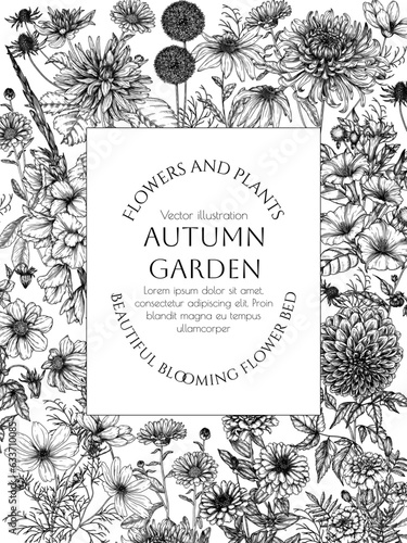Vector frame autumn flowers. Dahlia, cosmos, zinnia, marigold, calendula, rudbeckia, gladiolus, datura, eryngium, allium, chrysanthemum in engraving style