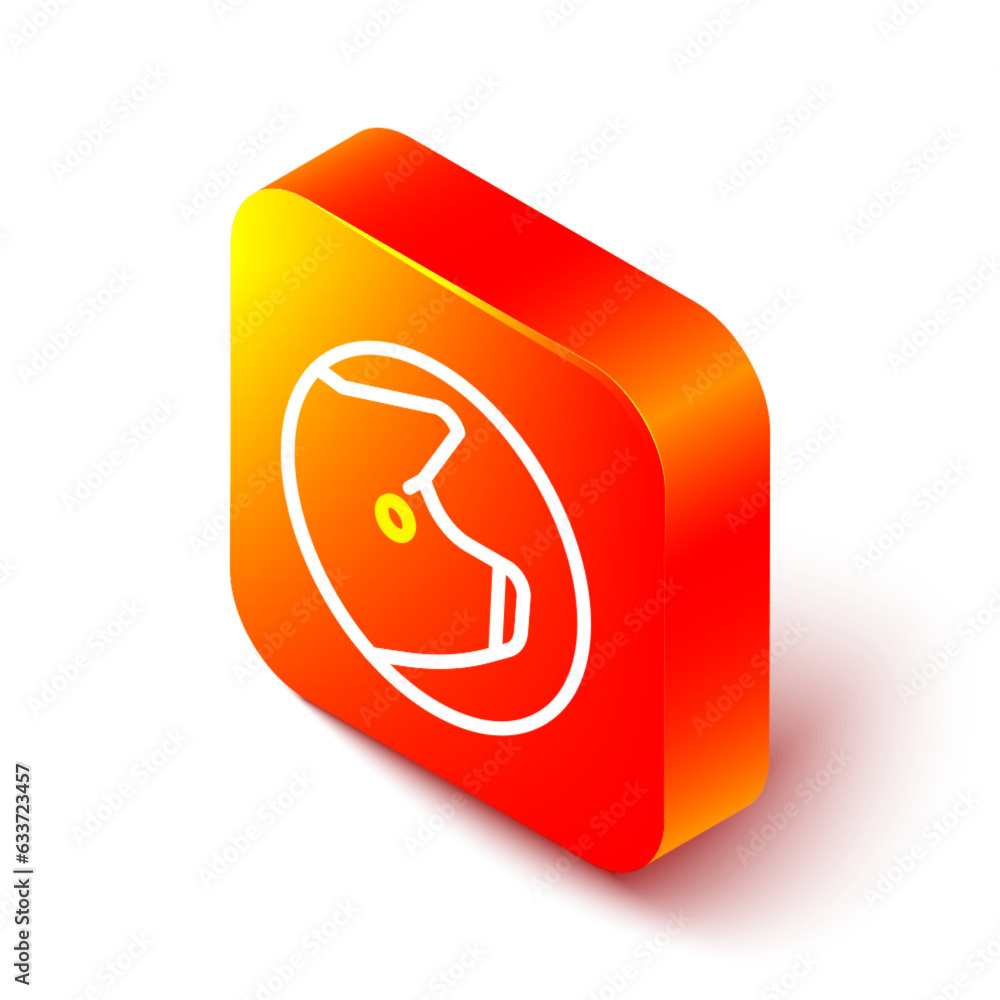 Isometric line Pig icon isolated on white background. Animal symbol. Orange square button. Vector Isometric line Pig icon isolated on white background. Animal symbol. Orange square button. Vector