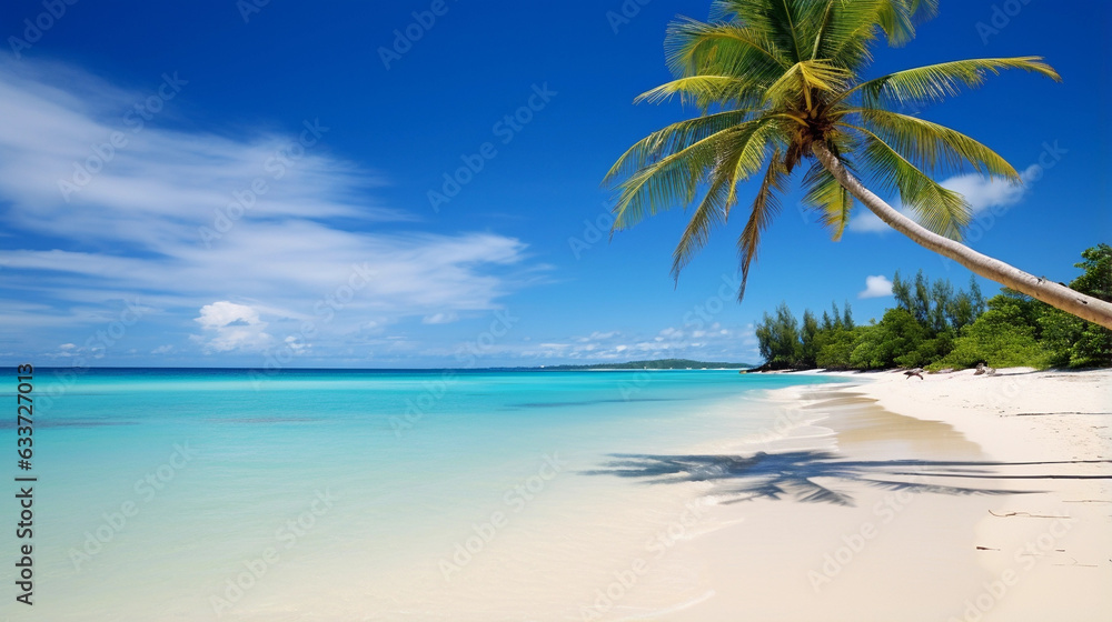 A Serene Beachscape Adorned with Graceful Coconut Trees