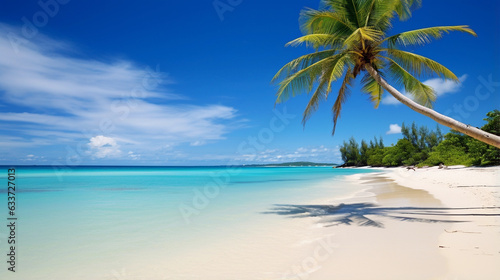 A Serene Beachscape Adorned with Graceful Coconut Trees © Linus