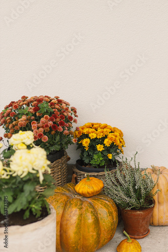 Wallpaper Mural Autumn pumpkins, pots with chrysanthemums and heather close up at wooden front door. Stylish autumnal decor of farmhouse entrance or porch. Fall arrangement Torontodigital.ca