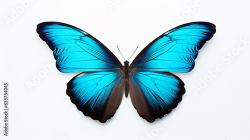 beautiful blue butterfly on a white background, created by AI