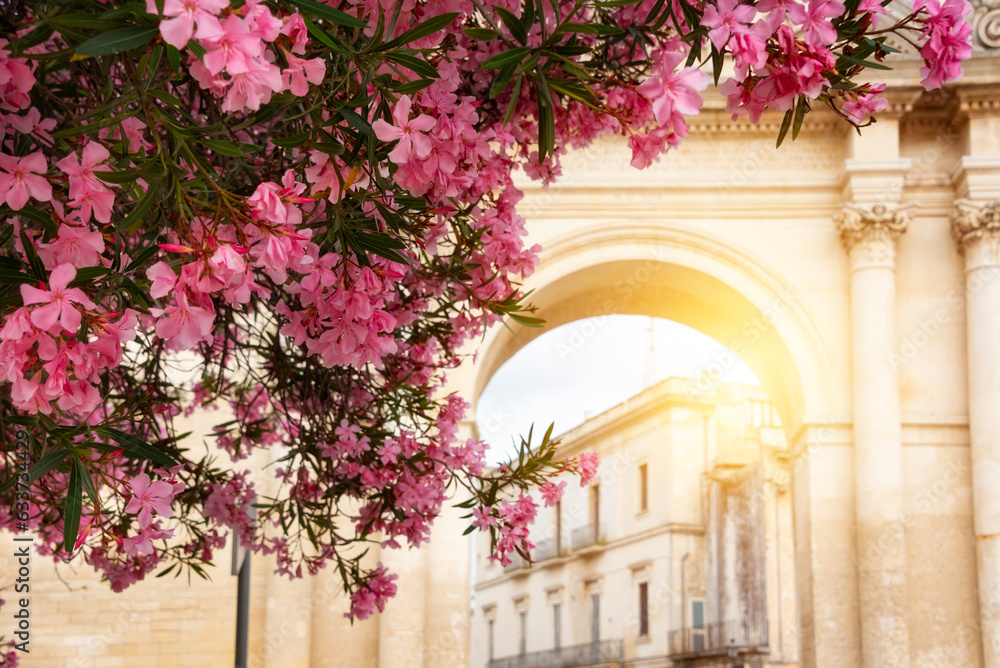 Fototapeta premium City of Lecce, Italy in summer with many pink flowers