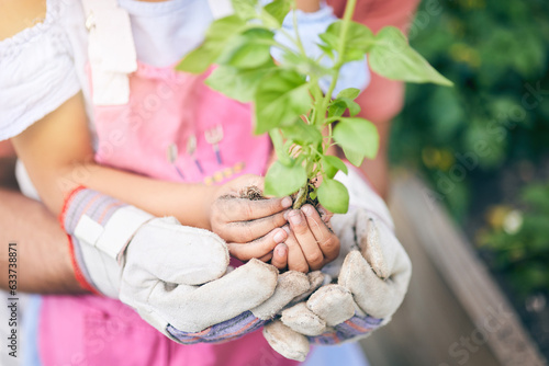 Hands holding plant, gardening or father with daughter for seedling, sustainability or ecology for future. Person, kid and teaching with support, leaves or growth in backyard for healthy environment