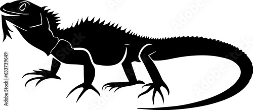 Black Dragon Lizard 2