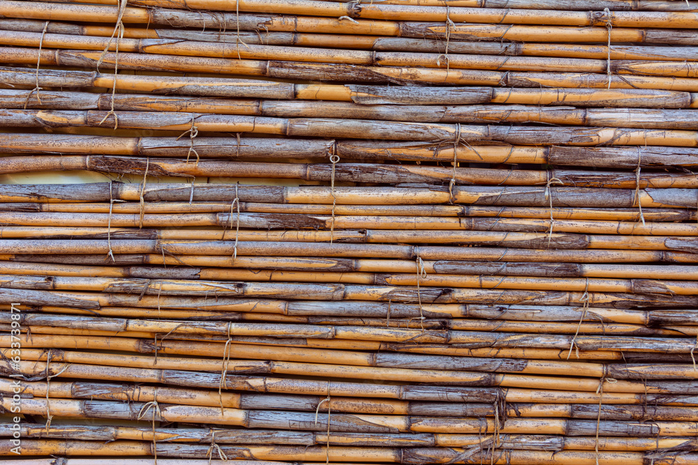 Detailed texture of a bamboo or reed fence. Detailed texture of a bamboo or reed fence.