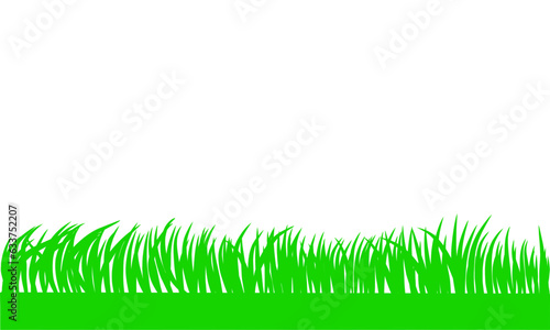 Green grass background. Horizontal vector design of grass in the meadow on white background.