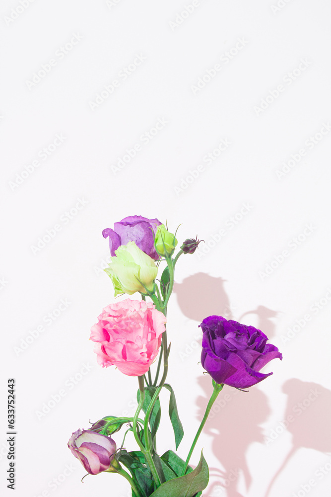 Beautiful fresh Lisianthus flowers on white background. Minimal floral love concept. Greeting. Copy space. Frontal view.