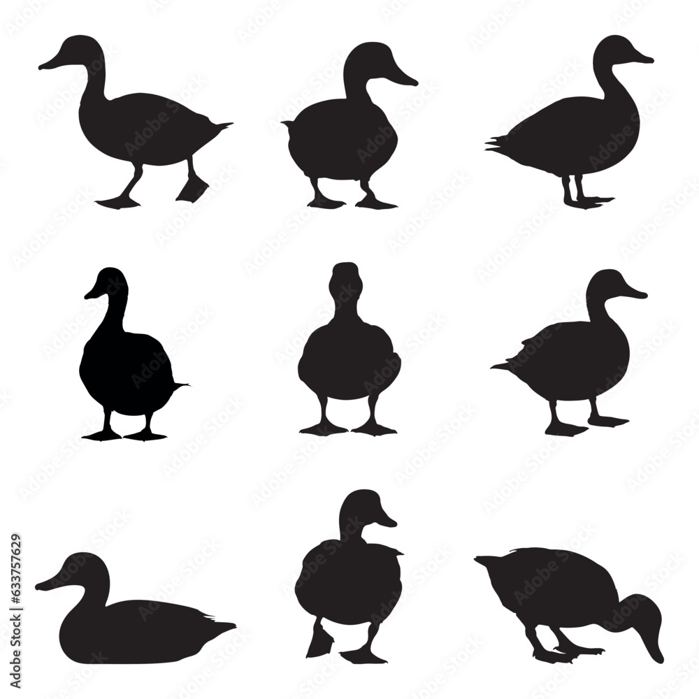 Set of silhouette ducks- isolated vector images of wild birds