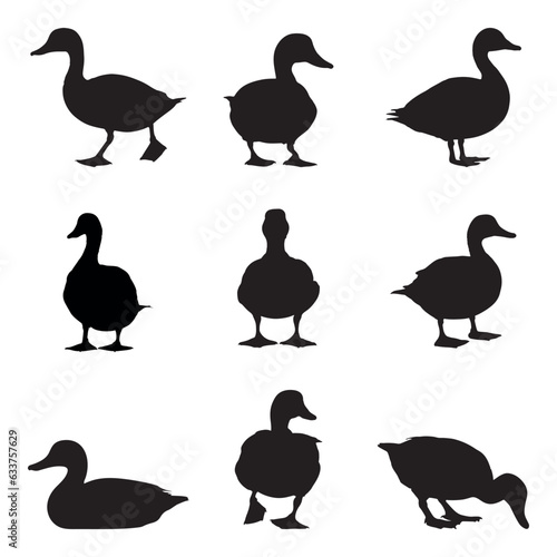 Set of silhouette ducks- isolated vector images of wild birds