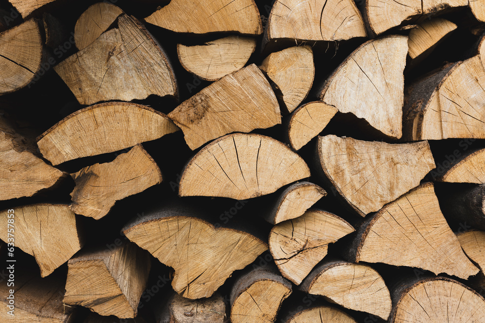 Fototapeta premium A lot of cutted logs. Wide banner or panorama wooden trunks. Closeup of logs of trees in nature. Stock for the winter.