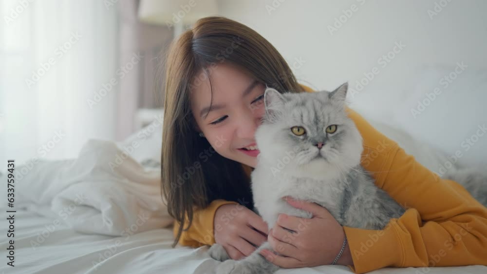 Happy asian woman hugging with fluffy grey cat with relax on the bed at home, A touching moment between a pet and its owner, Friendship with pets. Happy asian woman hugging with fluffy grey cat with relax on the bed at home, A touching moment between a pet and its owner, Friendship with pets.