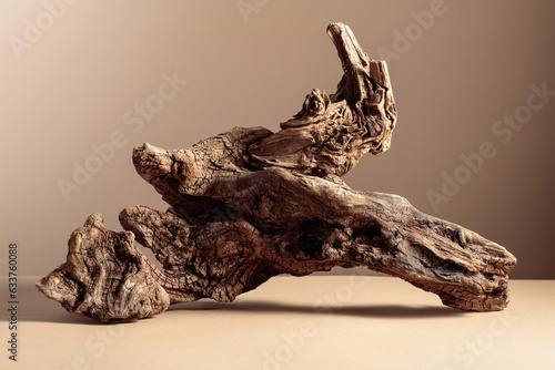 Old dry wooden snag on a beige background.