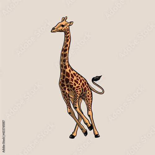 giraffe savannah
