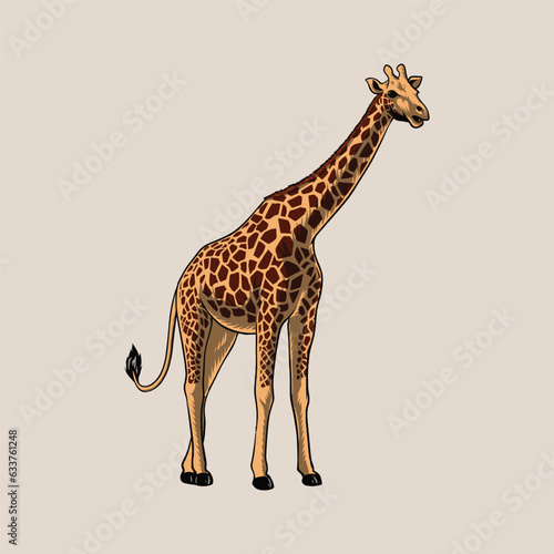 giraffe savannah