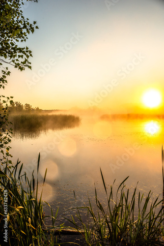 golden sunrise over the river with tree andreeds in mist at summer morning