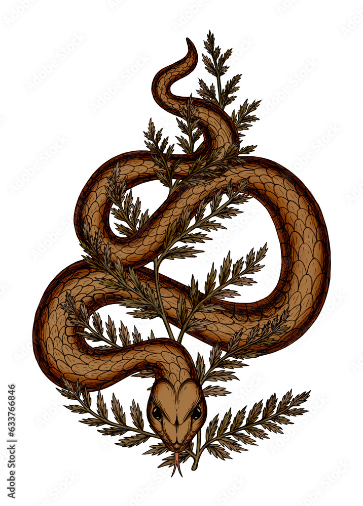 Fototapeta premium Golden Creeping Snake in Fern Leaf Autumn Vintage Botanical Illustration Hand Drawn Tattoo Design Idea
