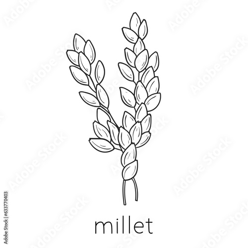 Cereal doodle, millet sketch, agriculture, Thin line art about cereal plants.