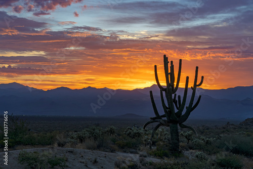 Desert Sunrise With Silhouette Of Large Saguaro Cactus In Foreground.