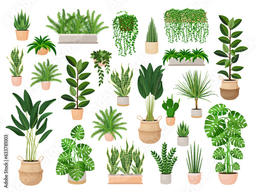 Photo Set of houseplants in a pots for home, office, premises decor