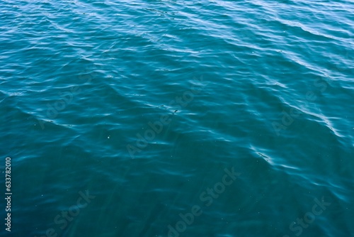 A close view of the lake water surface.
