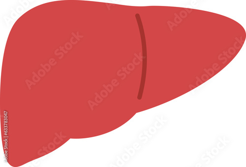 シンプルな肝臓のイラスト(liver)
