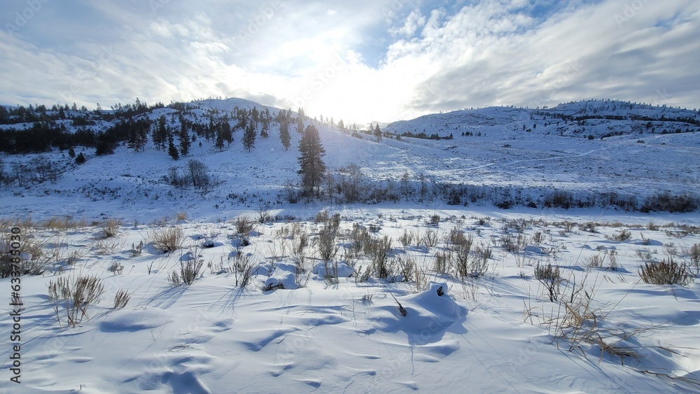 snow covered mountains