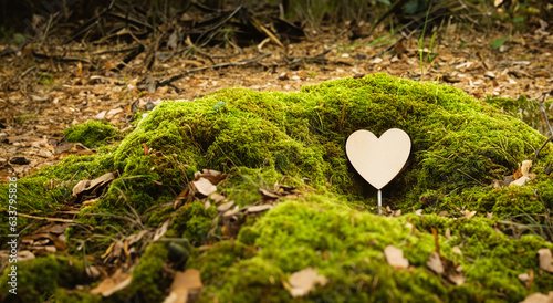 old wooden heart in the middle of the green forest in high resolution AND SHARPNESS