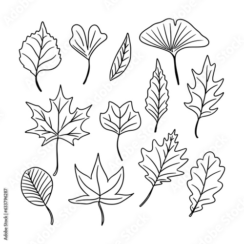 Set of hand drawn outline autumn leaves doodles. Black vector elements on white background. Different types of leaves. Sketch technique. Perfect for coloring pages  stickers  tatoo.