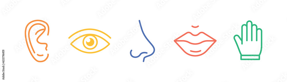 Five senses of human nervous system line icons color set. 5 five types symbols. Eye, nose, ear, hand, mouth. Sight, smell, hearing, touch, taste concept. Vector illustration - obrazy, fototapety, plakaty 
