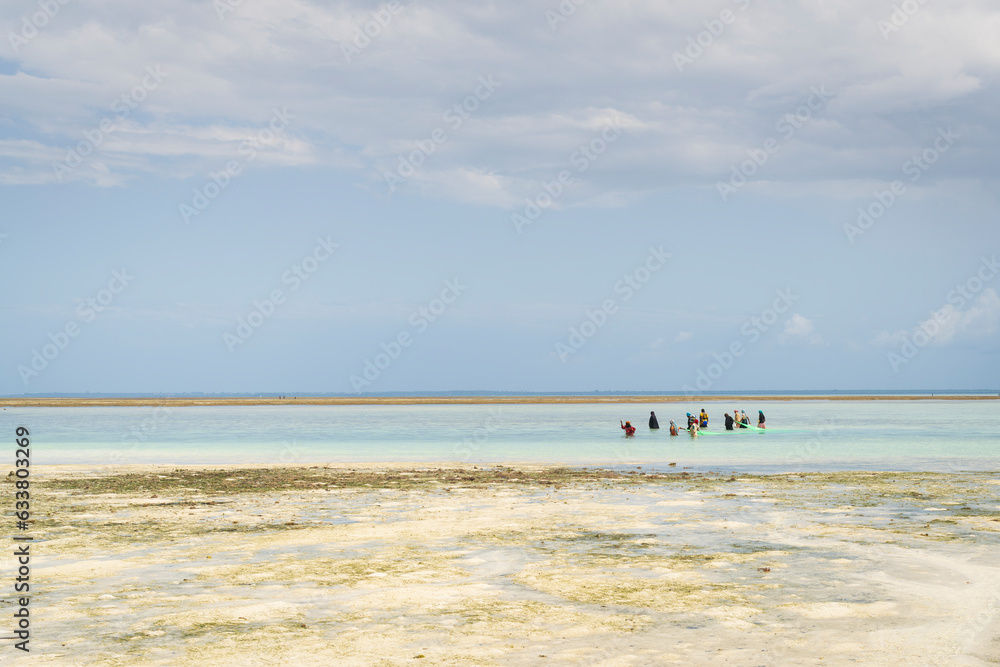 A group of African women catching fish and seafood in the Ocean using a fishing net at low tide.Zanzibar,Tanzania