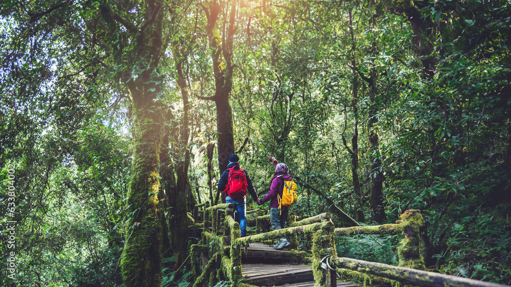 Couples traveling, relax in winter. walking travel to study nature in the rainforest. at the angka, Chiangmai in Thailand. Couples traveling, relax in winter. walking travel to study nature in the rainforest. at the angka, Chiangmai in Thailand.