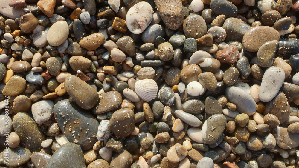 small sea pebbles with shells close-up, background small sea pebbles with shells close-up, background