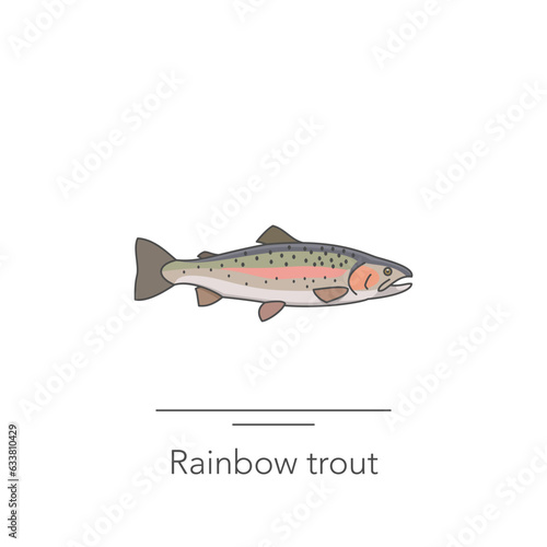 Rainbow trout icon. Outline colorful icon of trout fish on white. Vector illustration