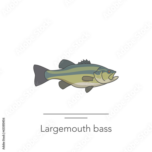 Largemouth bass icon. Outline colorful icon of bass fish on white. Vector illustration