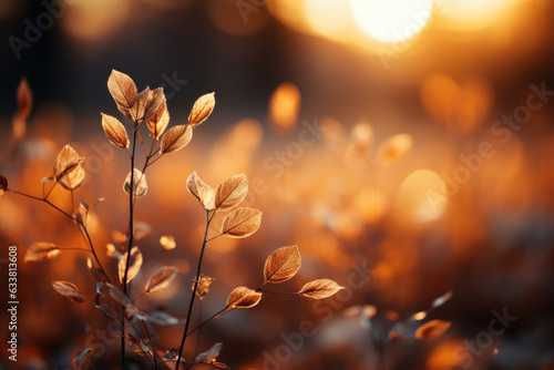An autumn background of foliage at sunset © Veniamin Kraskov